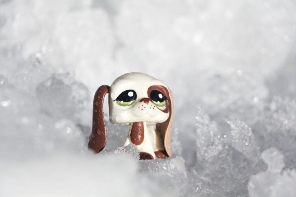 Calendrier De L Avent Littlest Pet Shop Advent Calendar MyushoppyLPS