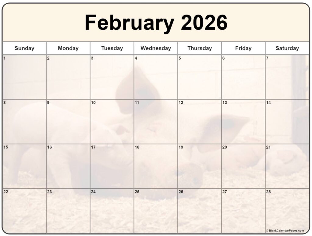 Collection Of February 2026 Photo Calendars With Image Filters 