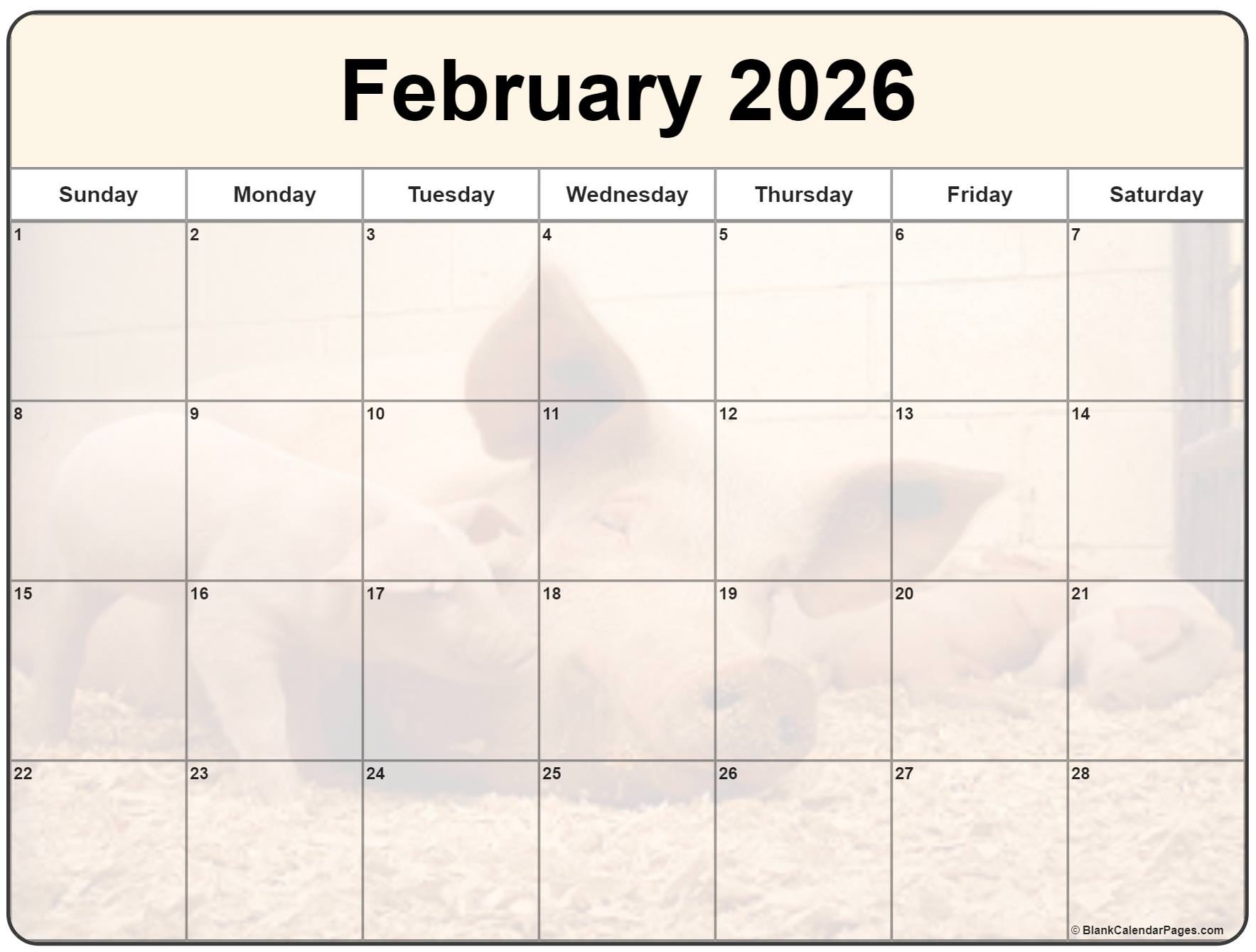 Collection Of February 2026 Photo Calendars With Image Filters