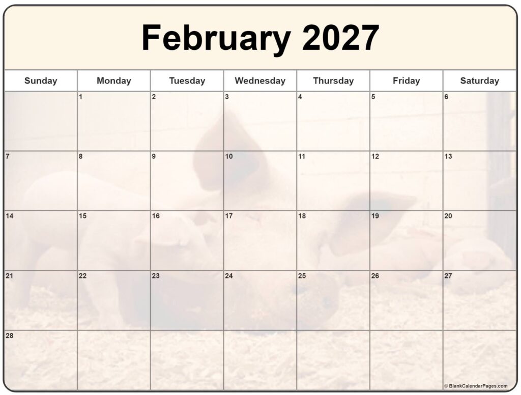 Collection Of February 2027 Photo Calendars With Image Filters 