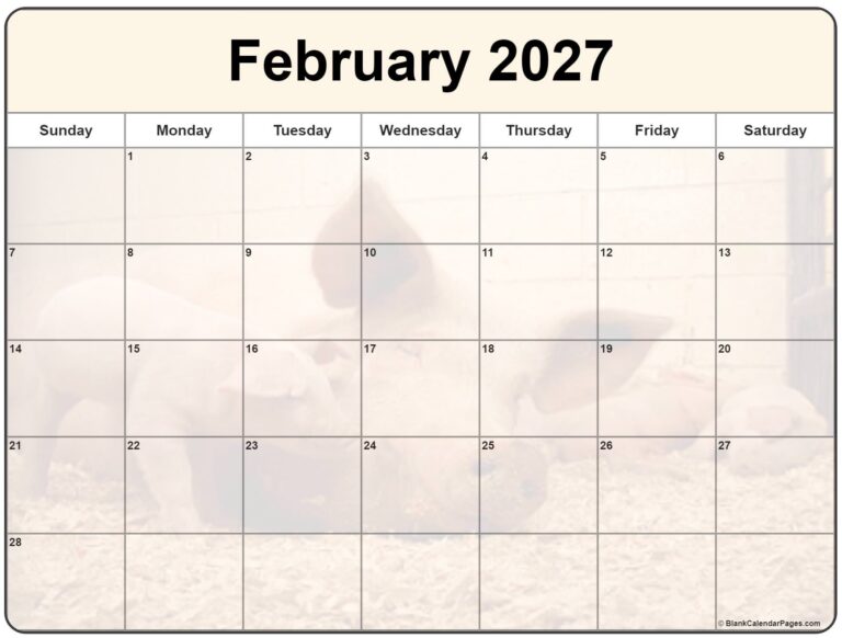 Collection Of February 2027 Photo Calendars With Image Filters 