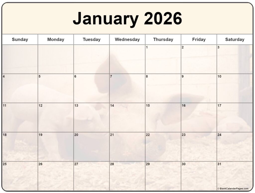 Collection Of January 2026 Photo Calendars With Image Filters