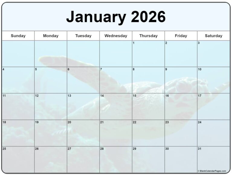 Collection Of January 2026 Photo Calendars With Image Filters 