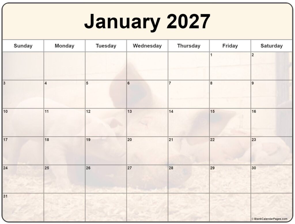 Collection Of January 2027 Photo Calendars With Image Filters 