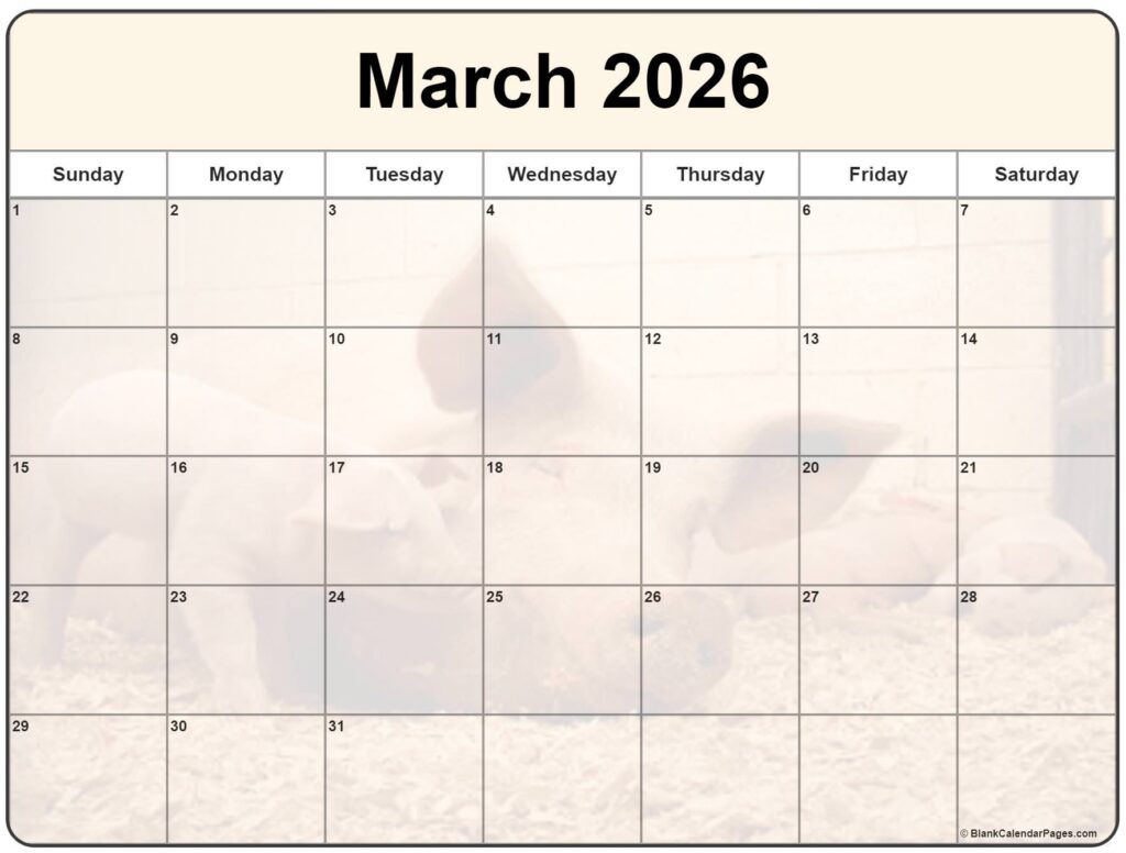 Collection Of March 2026 Photo Calendars With Image Filters 