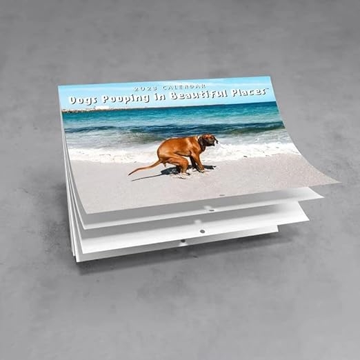 Dog Poop Calendar Funny Calendar Dogs Pooping In Beautiful Places Wall 
