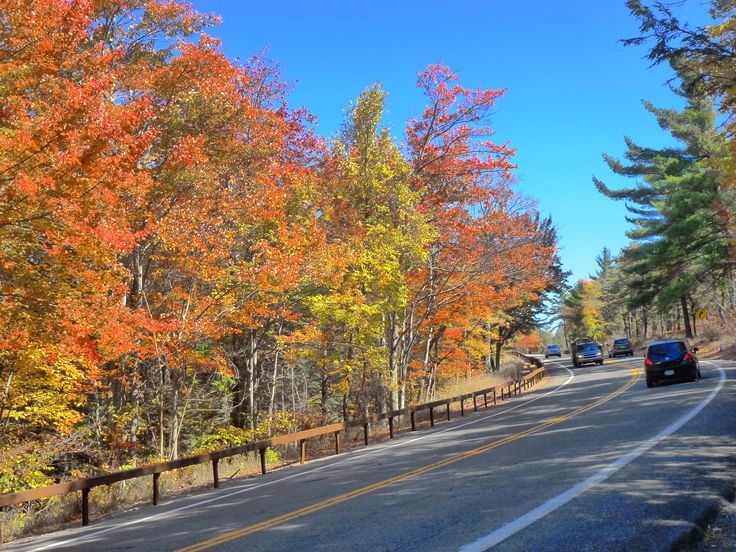 Fall Near New Paltz NY Carretera