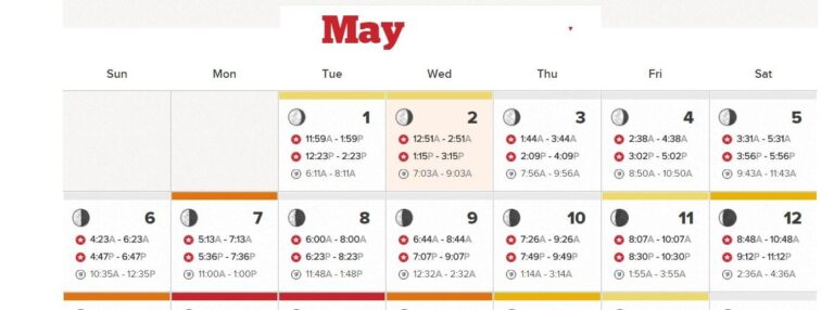In Fisherman Solunar Calendar