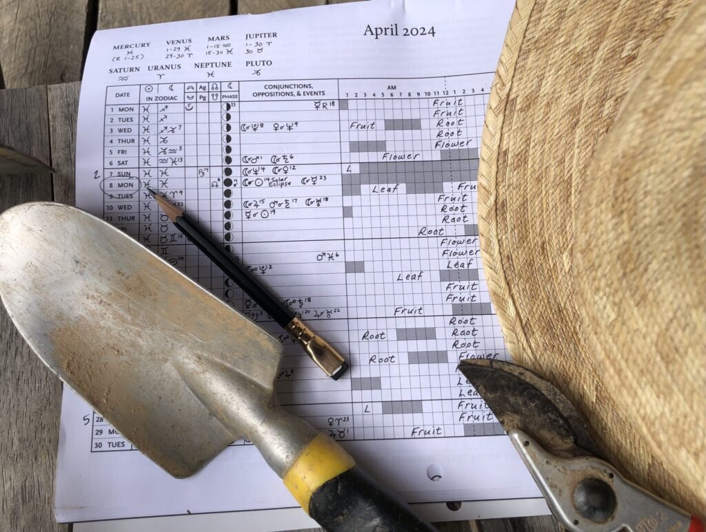 Introduction To The Stella Natura Biodynamic Planting Calendar