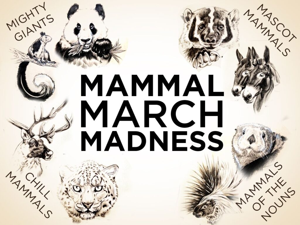 March Mammal Madness Calendar Printable Word Searches