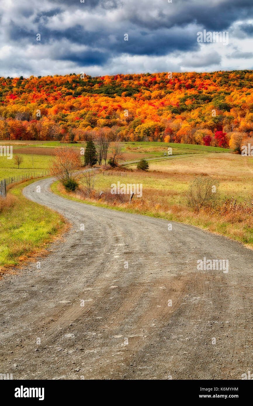 New Paltz Fall 2025 Calendar Janice Carmencita