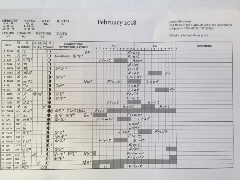 Planning Your Flower Seed Sowing Calendar Flora