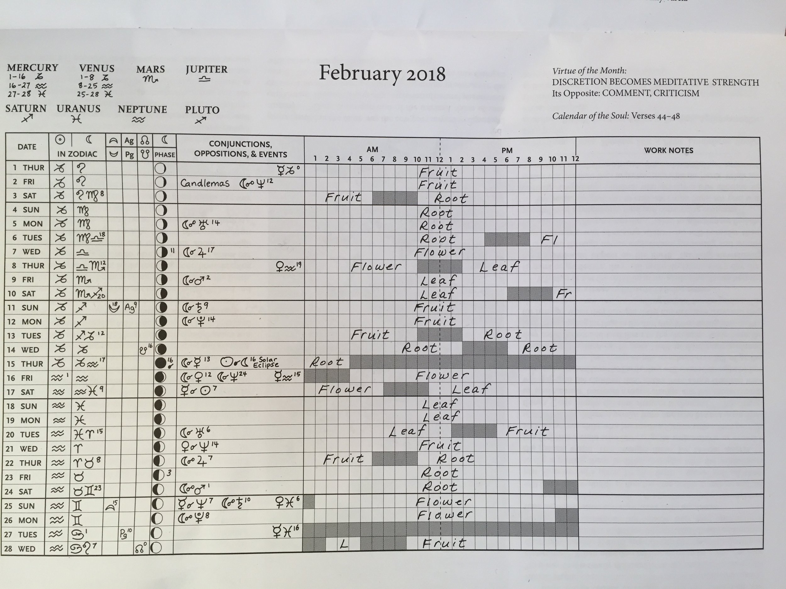Planning Your Flower Seed Sowing Calendar Flora