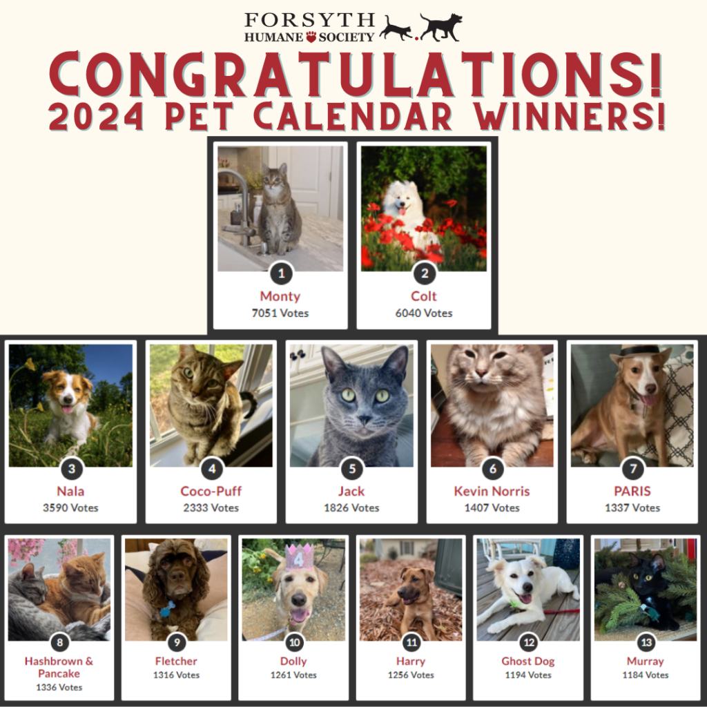 Praise My Pet Calendar 2025 Reviews Amity Georgianne
