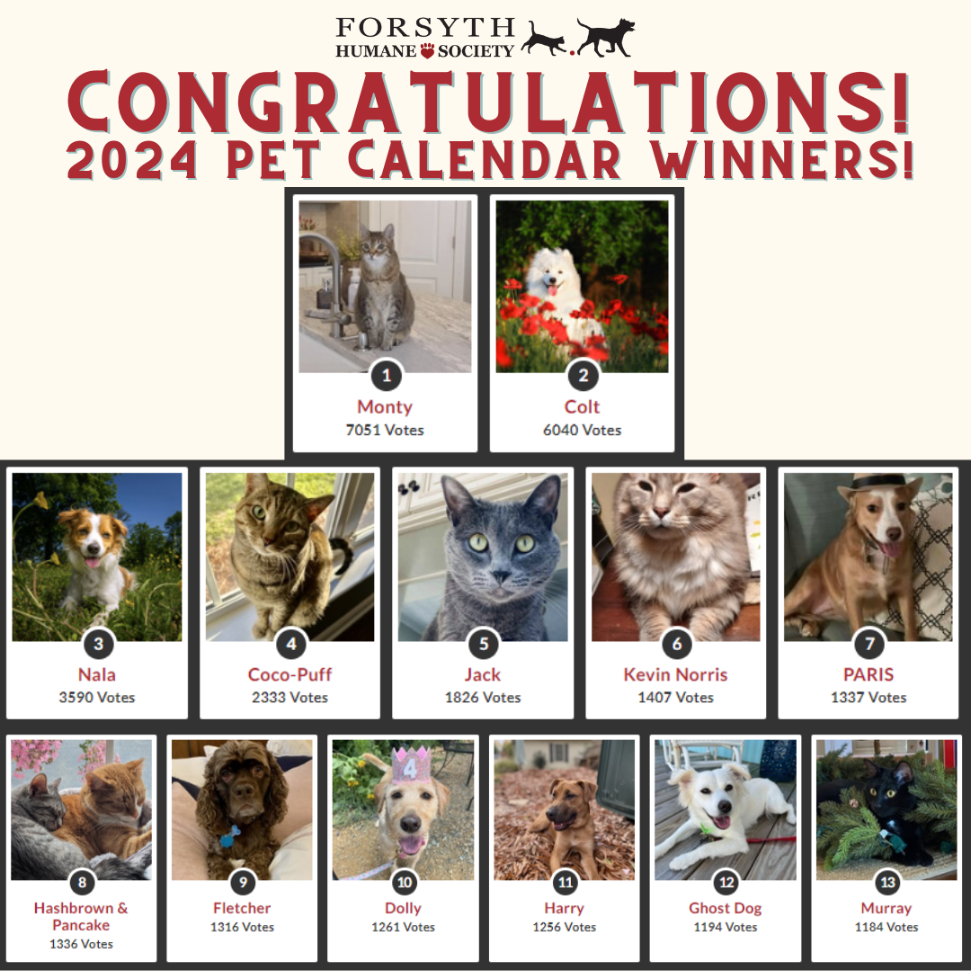 Praise My Pet Calendar 2025 Reviews Amity Georgianne
