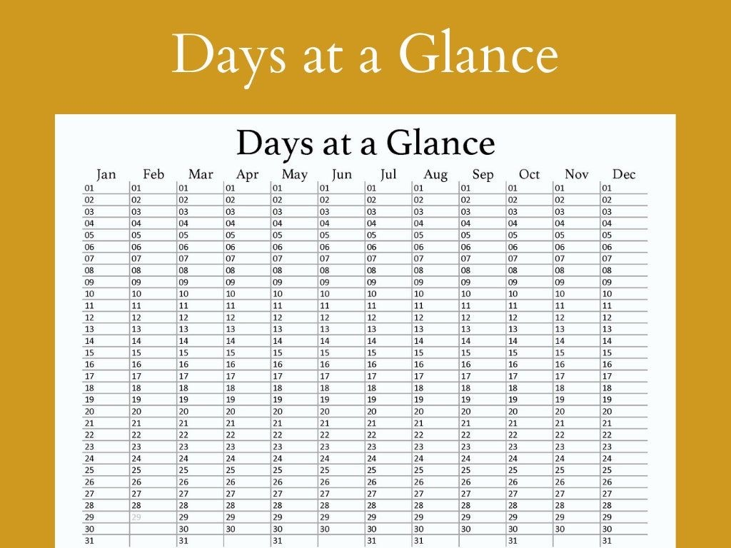 365 Daily Calendar Printable Calendars AT A GLANCE
