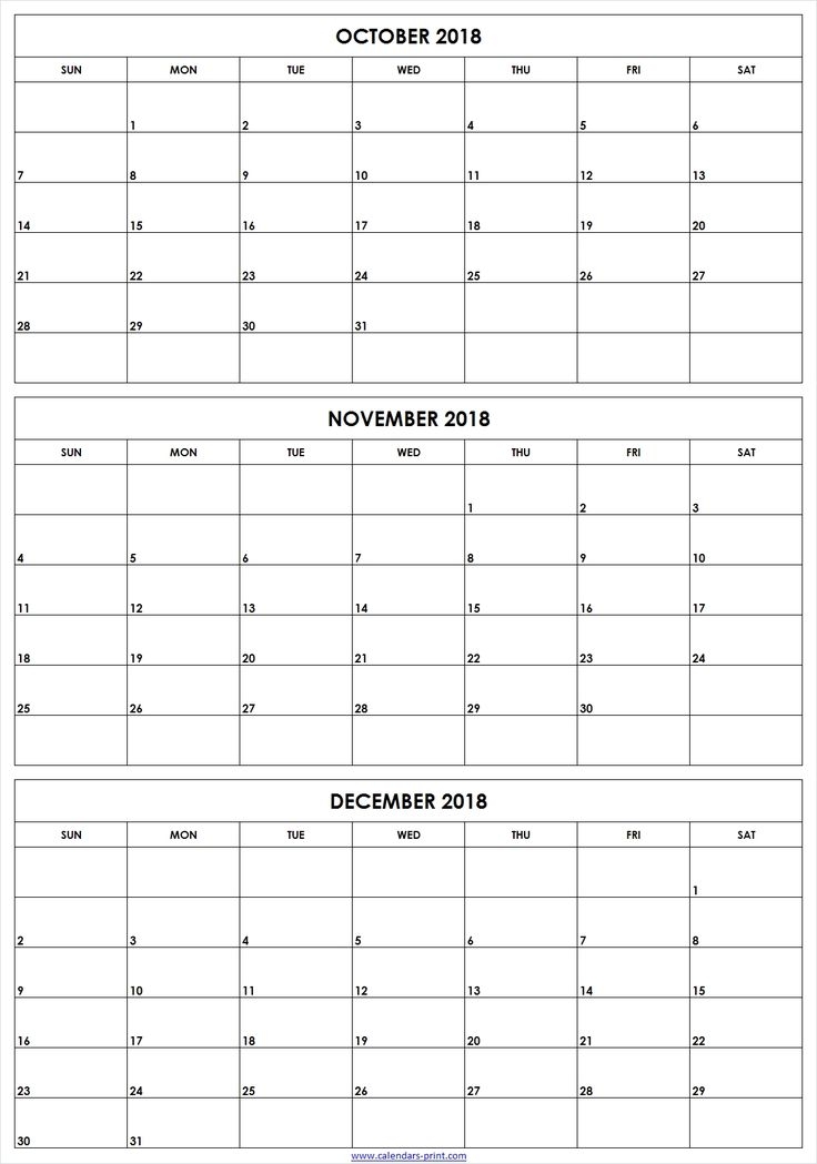 December January Calendar Printable December January Calendar Printable