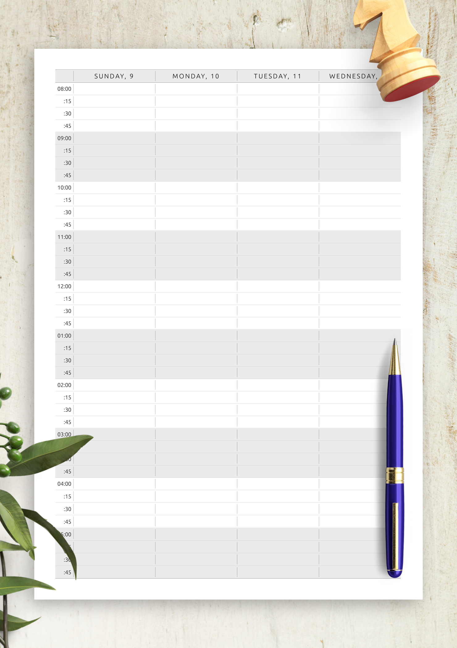 Free Printable Daily Appointment Calendar Jayne Murielle