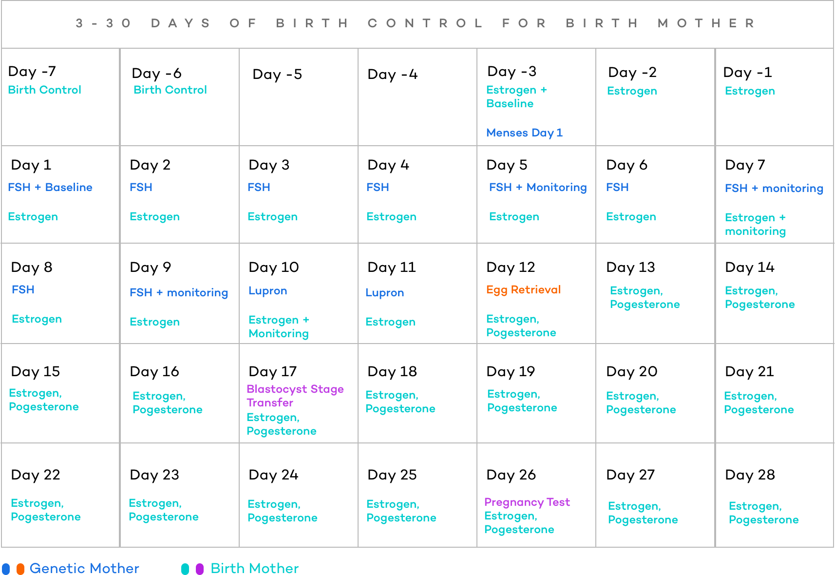 Reciprocal IVF What It Is How It Works What It Costs